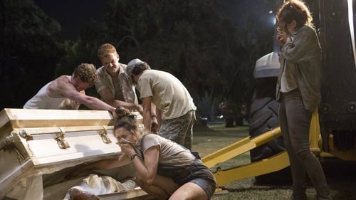 Shameless (US): 8×3