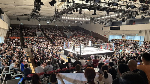 Stardom on Stardom World