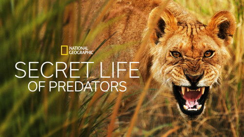Secret Life of Predators
