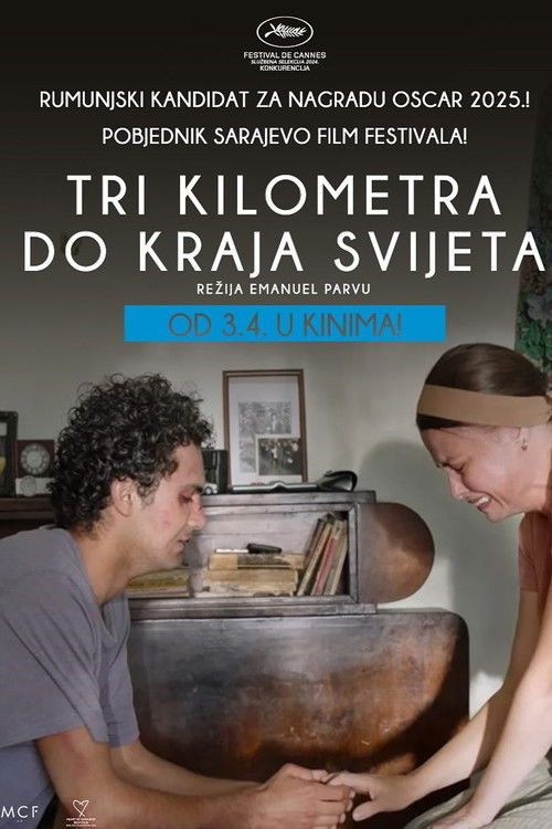 Three Kilometres to the End of the World poster