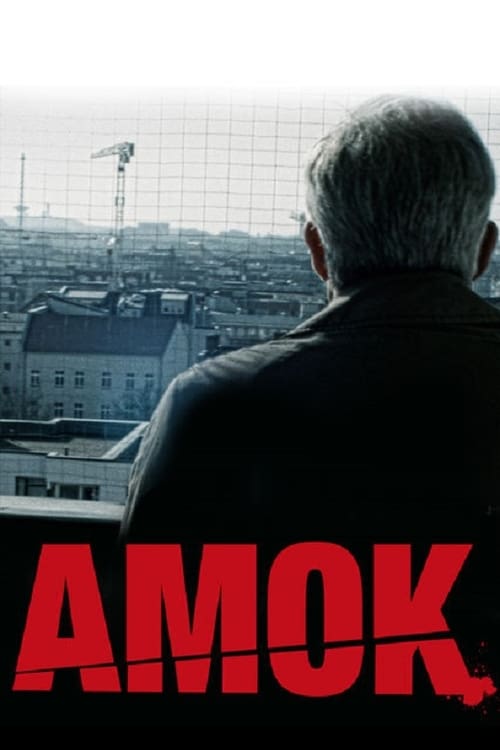 Amok - Hansi geht's gut poster