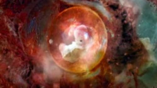 Is the Universe Alive?