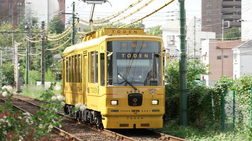 Tokyo Sakura Tram: New Appeal for Old-Town Tokyo