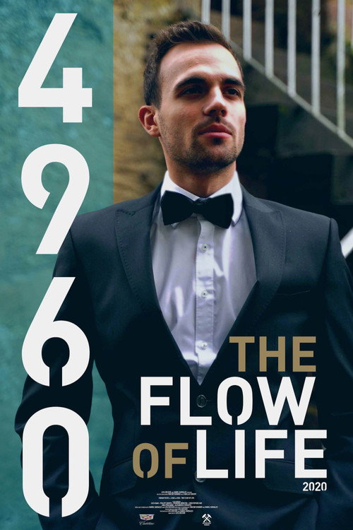 4960 – The Flow of Life poster