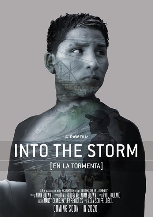 En La Tormenta poster