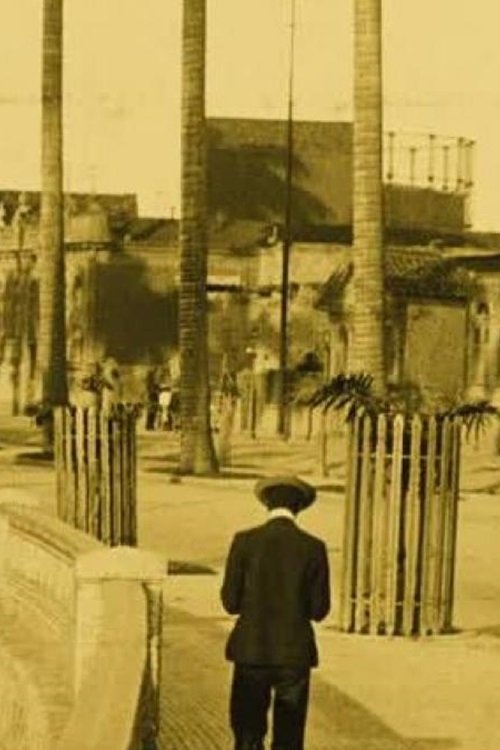 Panorama of Rio de Janeiro (1909)