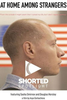 At Home Among Strangers poster