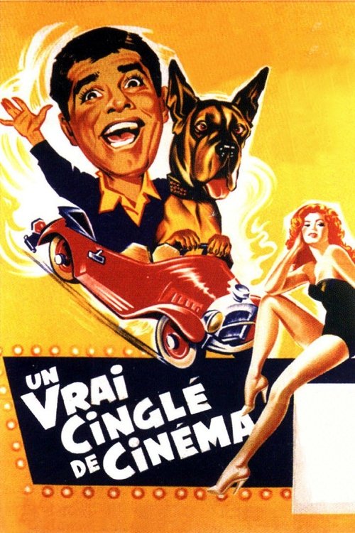 Poster image du film Un vrai cinglé de cinéma Un vrai cinglé de cinéma