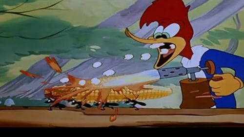 Poster della serie The Woody Woodpecker Show