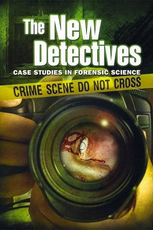 Where to stream The New Detectives Season 4