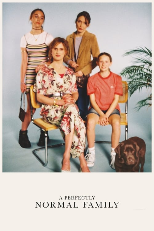 A Perfect Family poster