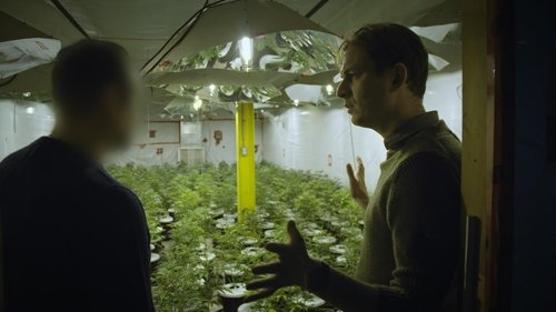 Cannabis illégal Cannabis illégal