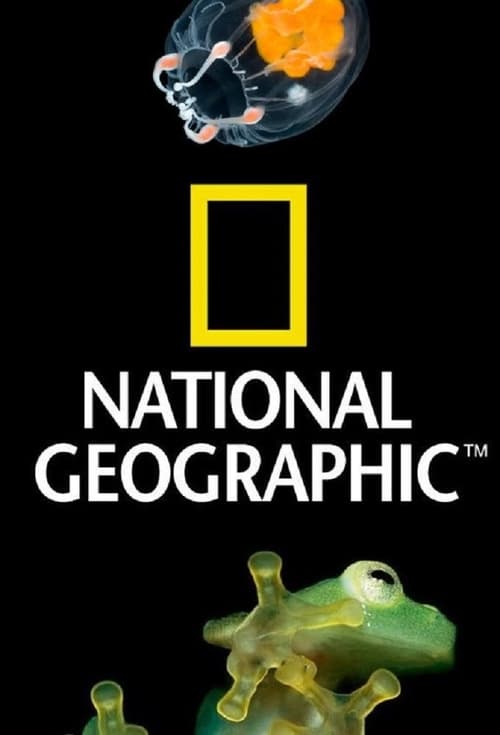 National Geographic 100 Years (1982)