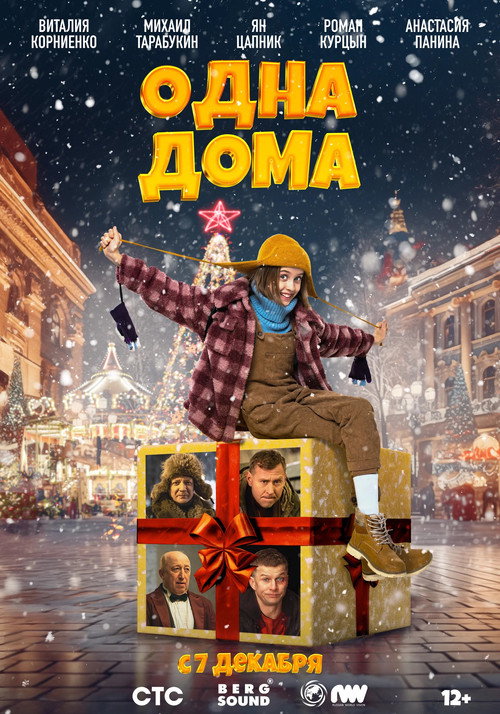 Home Alone poster