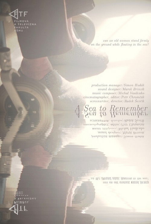 A Sea to Remember