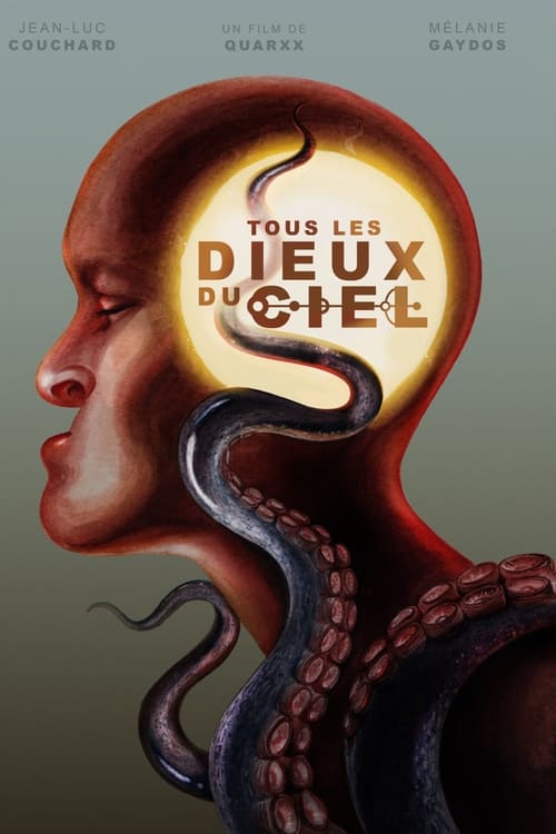 Tous les dieux du ciel poster