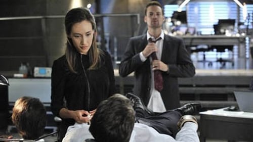 Nikita: 3×5