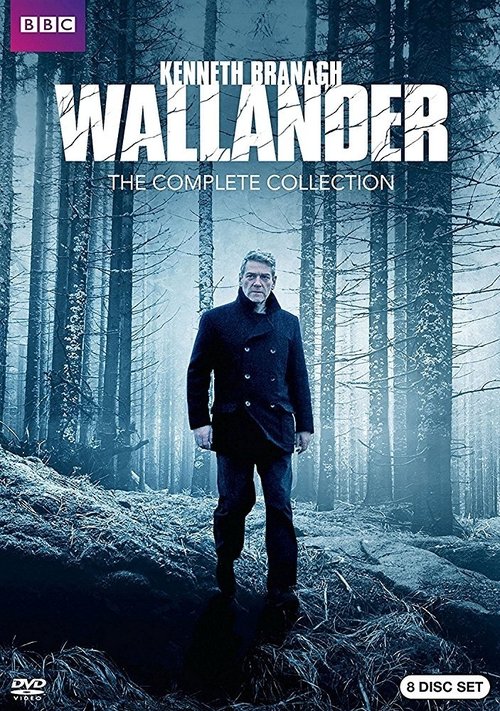 Wallander: The White Lioness 2016