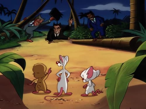 Pinky and the Brain, S04E03 - (1998)