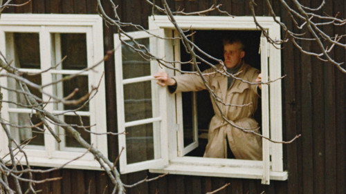 Neglītais pīlēns-cilvēka bērns still