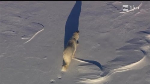 Image de l'épisode 2