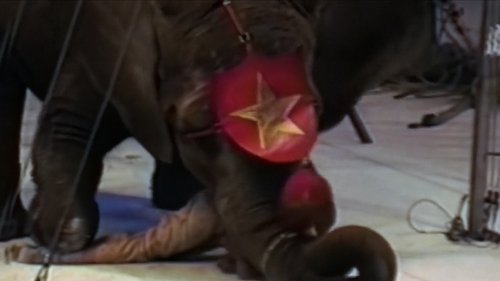 The Scariest Show on Earth Still