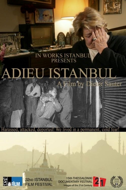 Adieu Istanbul movie poster player