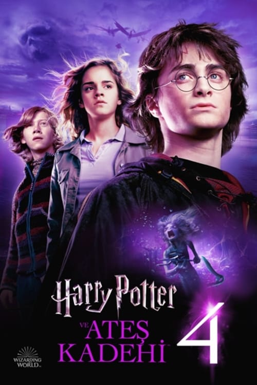 Harry Potter and the Goblet of Fire (2005)