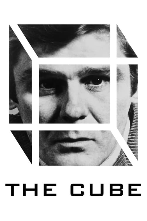Grootschalige poster van The Cube