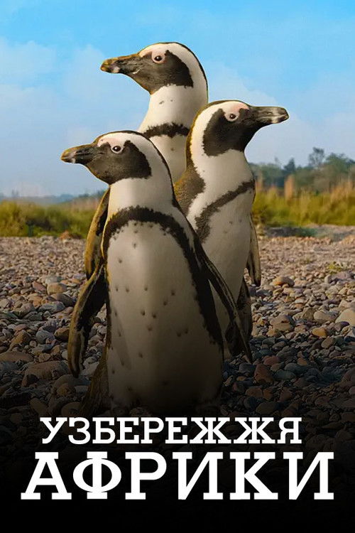 Узбережжя Африки / Coastal Africa (2015) TMDB poster