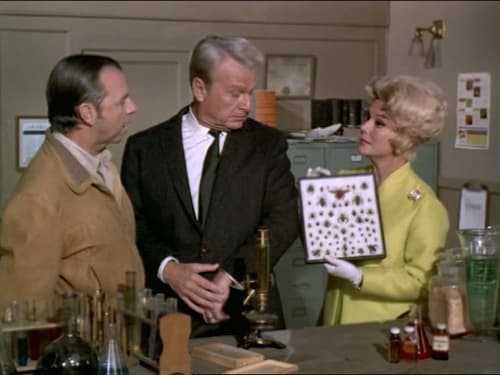 Green Acres, S05E09 - (1969)