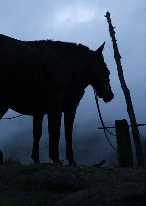 Les oeufs aussi ont un angle - BELGESEL Afişi