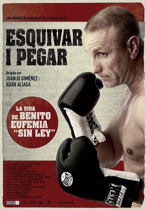Poster Esquivar y pegar 2010