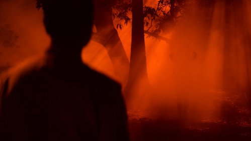 Bulbbul — still 20