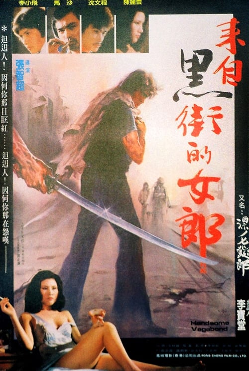 Handsome Vagabond (1982) poster