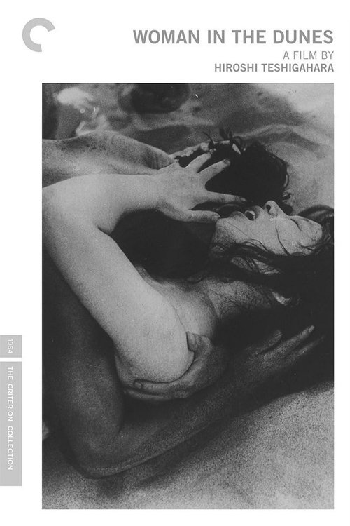 Woman in the Dunes poster