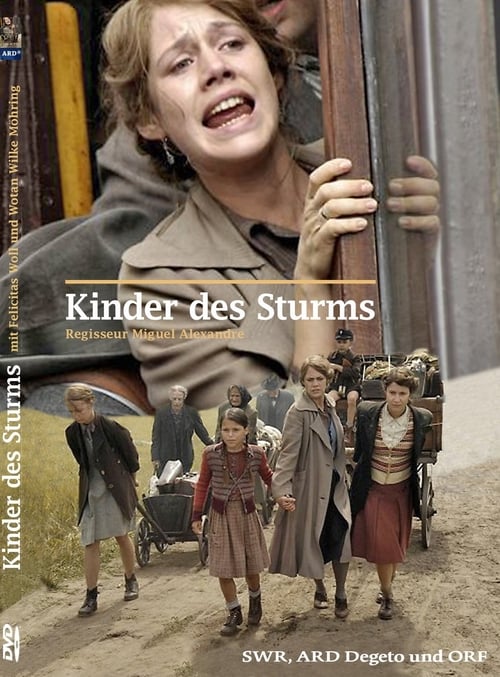 Kinder des Sturms (2009) poster