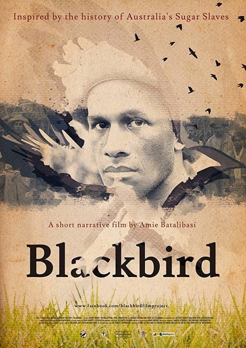 Blackbird