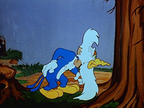 Born to Peck