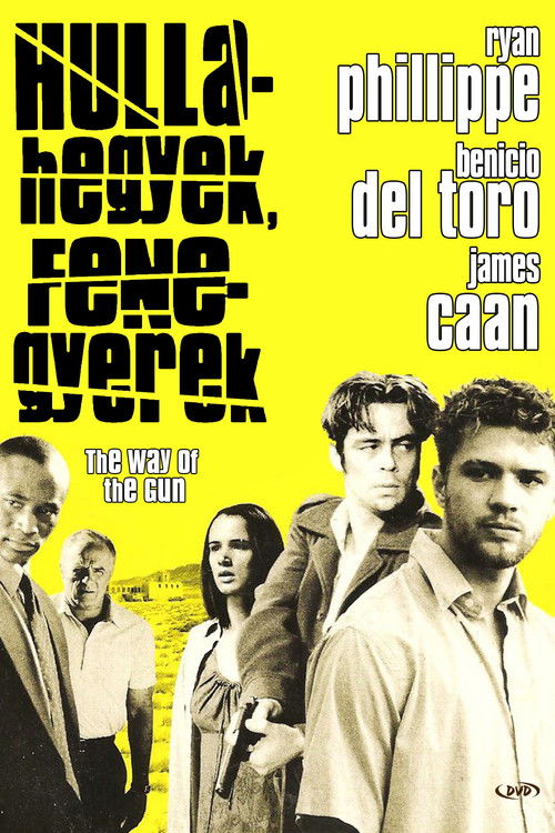 The Way of the Gun poster