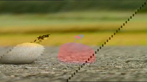 Episode 45