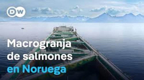 La mayor granja de salmones del mundo Backdrop Blur