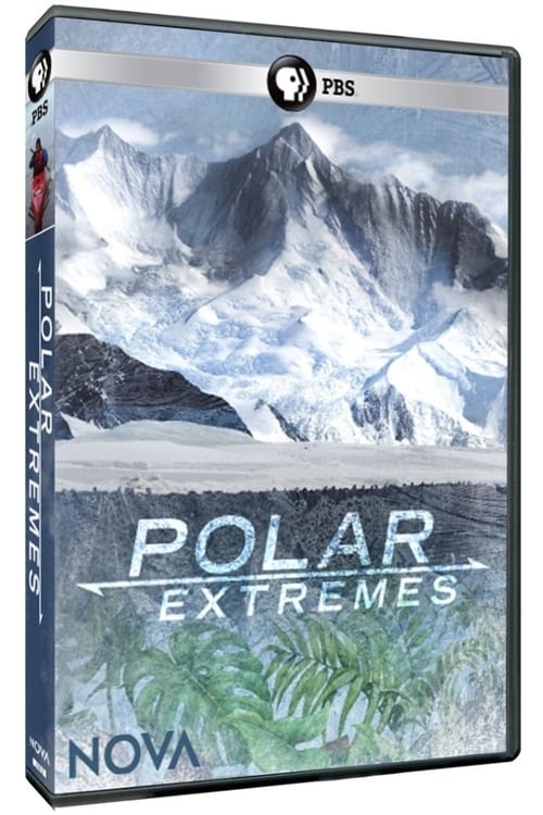 Polar Extremes 2020