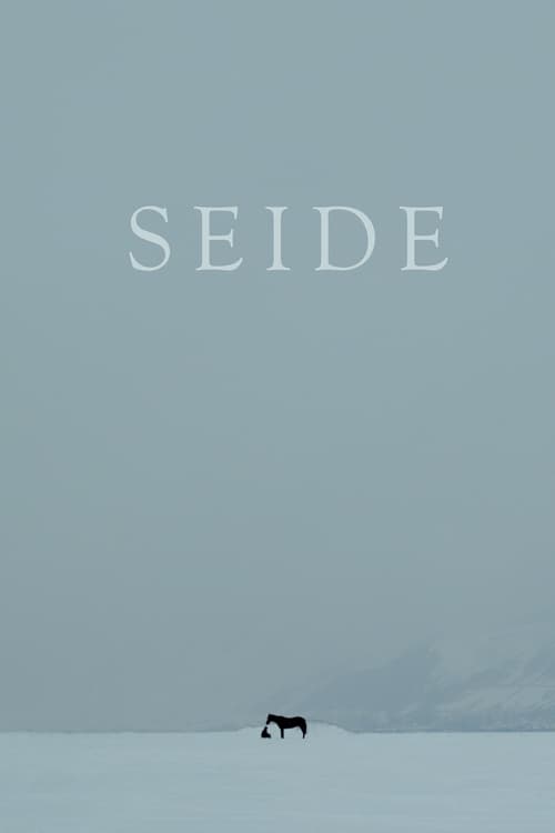 Seide poster