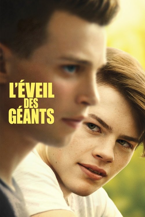 Poster image du film Franky Franky