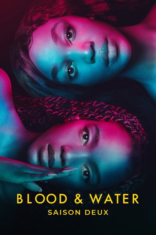 Poster de la saison 2