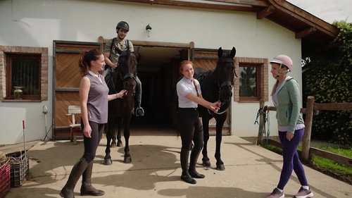 Sanyi the Miracle Worker