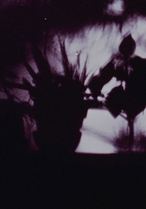 The Stars Are Beautiful poster