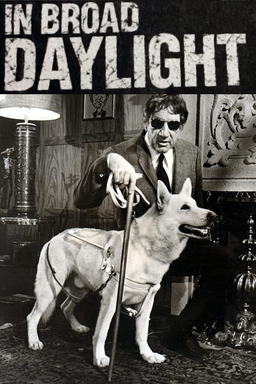 In Broad Daylight (1971) poster
