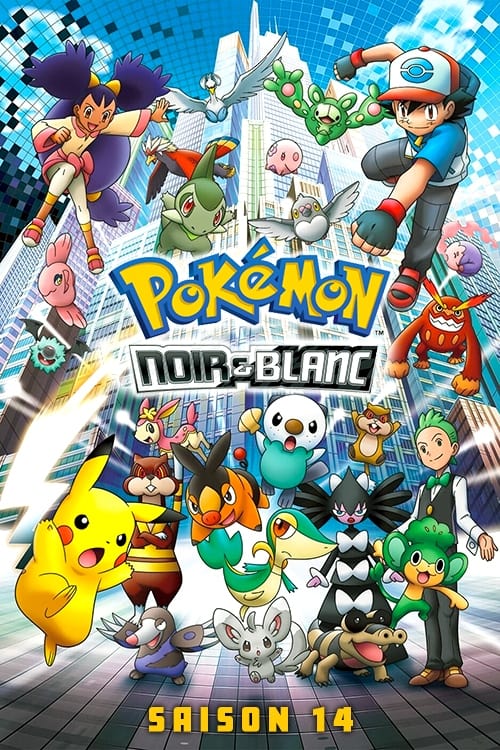 Pokémon, S14 - (2010)